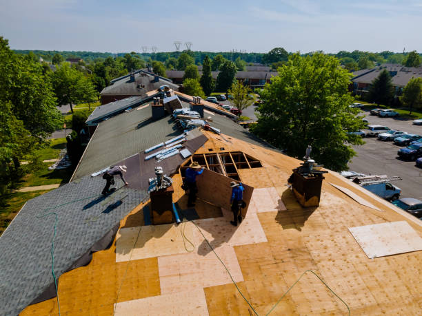 Best Storm Damage Roof Repair  in Henagar, AL