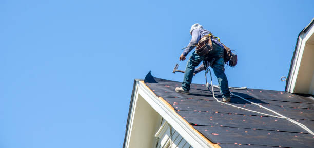 Best Storm Damage Roof Repair  in Henagar, AL